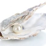 Open oyster with pearl isolated on white