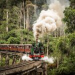 puffing- billy